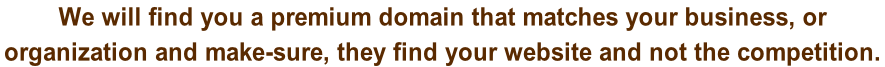 We will find you a premium domain that matches your business, or  organization and make-sure, they find your website and not the competition.